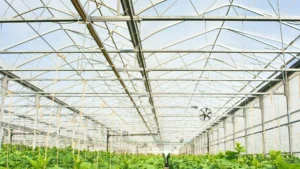 Greenhouse Header